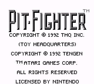 Screenshot Thumbnail / Media File 1 for Pit Fighter (USA, Europe)