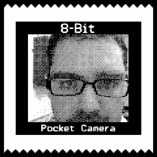 Screenshot Thumbnail / Media File 1 for Pocket Camera (Japan) (Rev A)