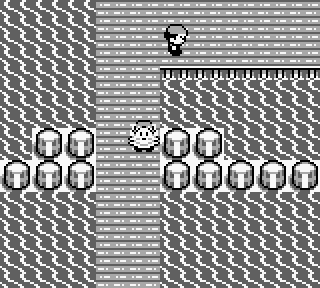 Screenshot Thumbnail / Media File 1 for Pokemon - Version Rouge (France)