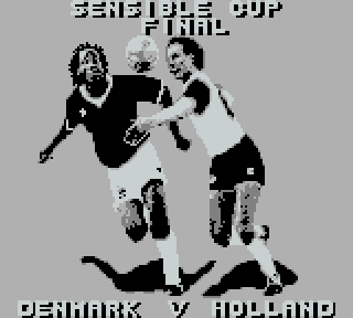 Screenshot Thumbnail / Media File 1 for Sensible Soccer - European Champions (Europe)