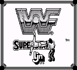 Screenshot Thumbnail / Media File 1 for WWF Superstars 2 (Japan)