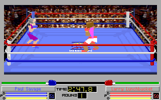 Screenshot Thumbnail / Media File 1 for 4d Boxing (1991)(Mindscape Inc)(Rev1)