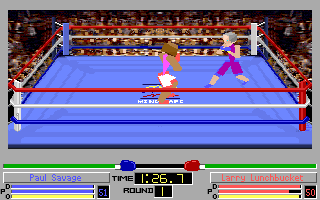 Screenshot Thumbnail / Media File 1 for 4d Boxing (1991)(Mindscape Inc)(Rev1)