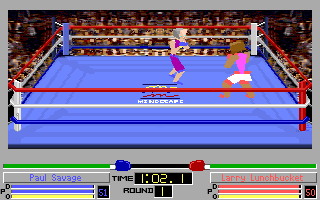 Screenshot Thumbnail / Media File 1 for 4d Boxing (1991)(Mindscape Inc)(Rev1)