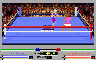 Screenshot Thumbnail / Media File 1 for 4d Boxing (1991)(Mindscape Inc)(Rev1)