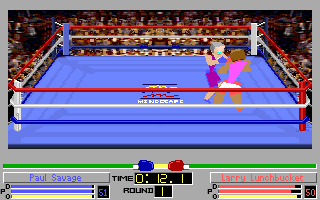 Screenshot Thumbnail / Media File 1 for 4d Boxing (1991)(Mindscape Inc)(Rev1)