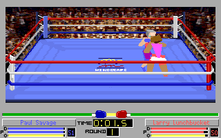 Screenshot Thumbnail / Media File 1 for 4d Boxing (1991)(Mindscape Inc)(Rev1)