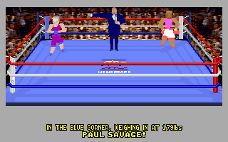 Screenshot Thumbnail / Media File 1 for 4d Boxing (1991)(Mindscape Inc)(Rev2)