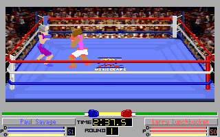 Screenshot Thumbnail / Media File 1 for 4d Boxing (1991)(Mindscape Inc)(Rev2)
