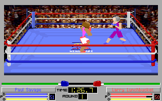 Screenshot Thumbnail / Media File 1 for 4d Boxing (1991)(Mindscape Inc)(Rev2)