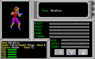 Screenshot Thumbnail / Media File 1 for 4d Boxing Deluxe (1990)(Electronic Arts Inc)