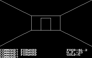 Screenshot Thumbnail / Media File 1 for Akalabeth World Of Doom (1980)(Origin Systems Inc)