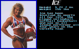 Screenshot Thumbnail / Media File 1 for American Gladiators (1991)(Gametek)