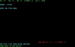 Screenshot Thumbnail / Media File 1 for Amulet Of Yendor (1985)(Keypunch)