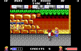Screenshot Thumbnail / Media File 1 for Double Dragon (1988)(Arcadia Tradewest Inc)