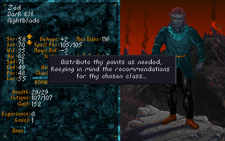 Screenshot Thumbnail / Media File 1 for Elder Scrolls Arena The (1993)(Us Gold)