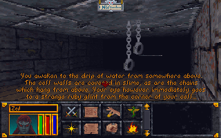 Screenshot Thumbnail / Media File 1 for Elder Scrolls Arena The (1993)(Us Gold)