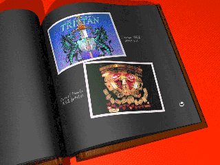 Screenshot Thumbnail / Media File 1 for Royal Flush Pinball (1994)(Amtex)