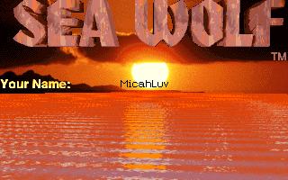 Screenshot Thumbnail / Media File 1 for Seawolf (1982)(International Pc Owners)