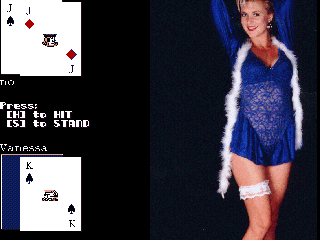 Screenshot Thumbnail / Media File 1 for Strip Blackjack (1995)(Dream Media Technologies)