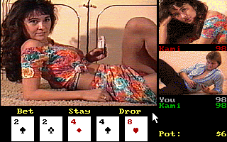 Screenshot Thumbnail / Media File 1 for Strip Poker Professional (1995)(Artworx)