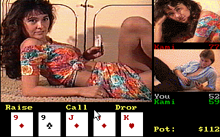 Screenshot Thumbnail / Media File 1 for Strip Poker Professional (1995)(Artworx)
