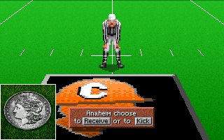 Screenshot Thumbnail / Media File 1 for Unnecessary Roughness (1995)(Accolade)