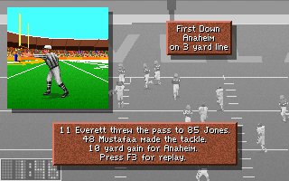 Screenshot Thumbnail / Media File 1 for Unnecessary Roughness Original Install (1995)(Accolade)