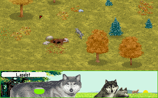 Screenshot Thumbnail / Media File 1 for Wolf (1994)(Sanctuary Woods Inc Us Gold)