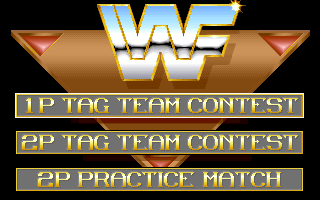 Screenshot Thumbnail / Media File 1 for Wwf European Rampage Tour (1995)(Acclaim Entertainment Inc)
