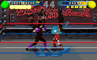 Screenshot Thumbnail / Media File 1 for WWF In Your House (1996)(Acclaim)