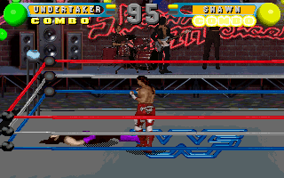 Screenshot Thumbnail / Media File 1 for WWF In Your House (1996)(Acclaim)