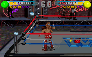 Screenshot Thumbnail / Media File 1 for WWF In Your House (1996)(Acclaim)
