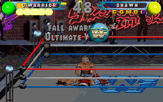 Screenshot Thumbnail / Media File 1 for WWF In Your House (1996)(Acclaim)