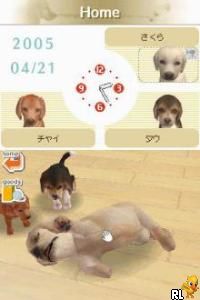 Nintendogs - Chihuahua & Friends (J)(Brassteroid Team) Screen Shot