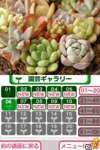 DS Style Series - Hana Saku DS Gardening Life (J)(Loli) Screen Shot