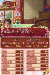 Princess Maker 4 DS - Special Edition (Japan) NDS - Gorser 