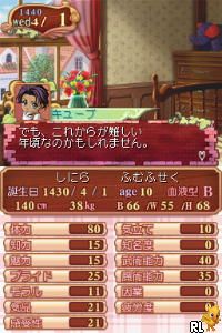 Princess Maker 4 DS - Special Edition (J)(Caravan) Screen Shot