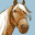 Ener-G - Horse Riders (U)(XenoPhobia) Icon