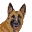 My Pet Puppy (E)(EXiMiUS) Icon