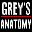 Grey's Anatomy - The Video Game (US)(M3)(XenoPhobia) Icon