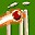 Freddie Flintoff's Power Play Cricket (E) Icon