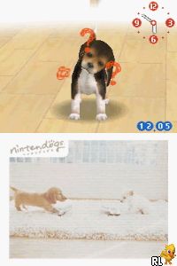 Nintendogs - Chihuahua & Friends (v01) (J) Screen Shot