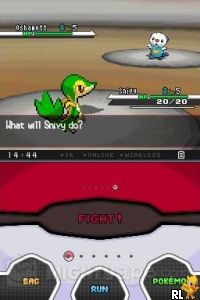 Pokemon - White Version (DSi Enhanced)(USA) (E) Screen Shot