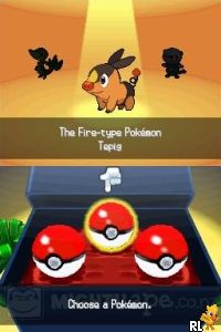 Pokemon Black Version (U) (Patched) Screen Shot