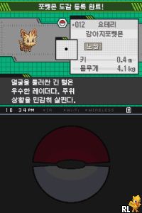 Pokemon - Black Version (DSi Enhanced) (K) Screen Shot