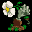 Plants vs. Zombies (E) Icon