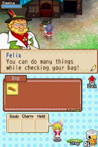 Harvest Moon - Grand Bazaar (E) Screen Shot